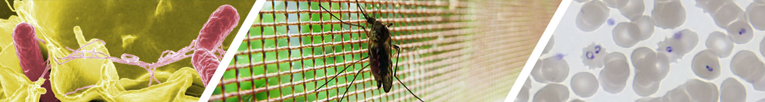 Malaria.info Banner